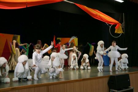 IMG_8224.jpg